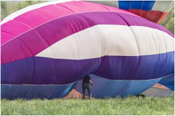 mongolfieres 2022 5